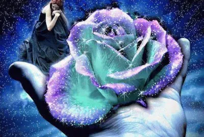 rosa de mujer