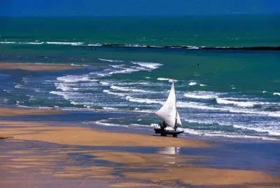 Imagenes