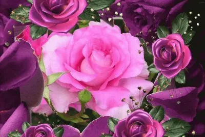 Imagenes jigsaw puzzle