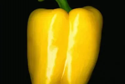 פאזל של Imagenes