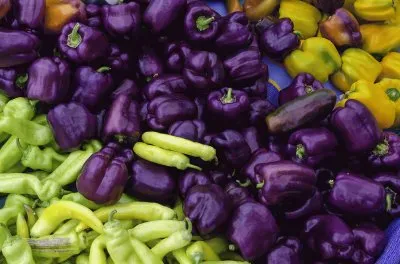 פאזל של Fresh Purple Peppers