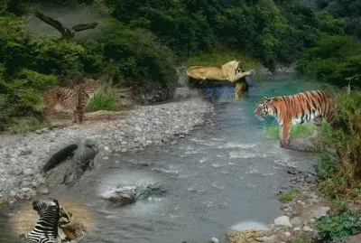 rio peligroso jigsaw puzzle