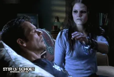 stir of echoes