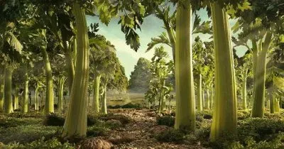 celery forest jigsaw puzzle