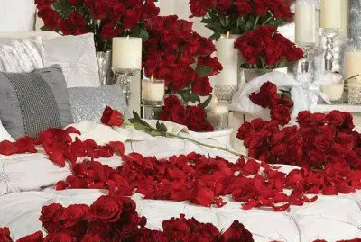 Imagenes