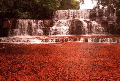 Imagenes jigsaw puzzle