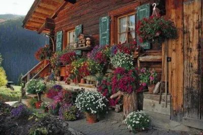 Imagenes