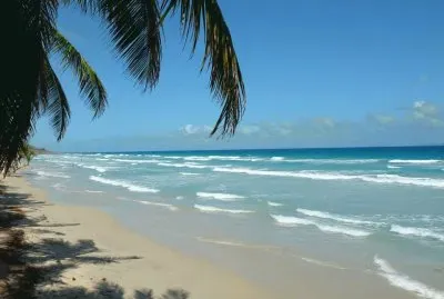 Imagenes