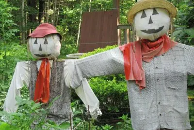 Scarecrows