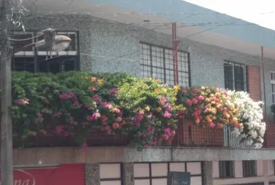balcÃ³n florido