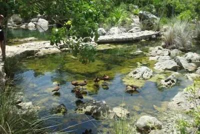 rio
