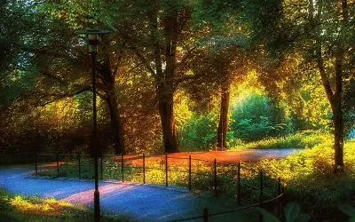 Caminho Bonito jigsaw puzzle