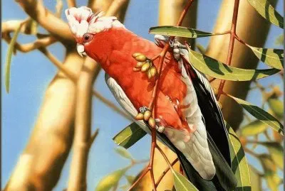 ImÃ¡genes jigsaw puzzle