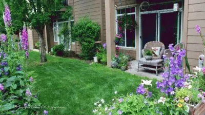 Peaceful Summer Garden