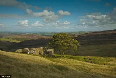 Wuthering heights