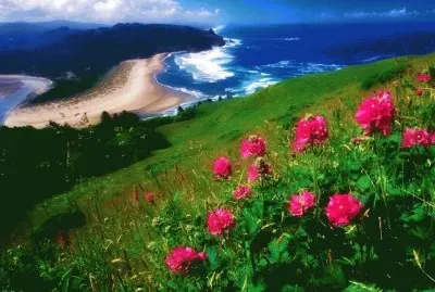 paisagens