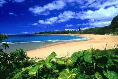 Praia