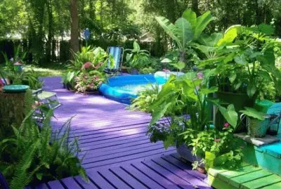 Backyard Purple Decking