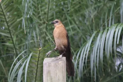 ImÃ¡genes jigsaw puzzle