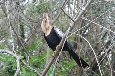 ImÃ¡genes jigsaw puzzle