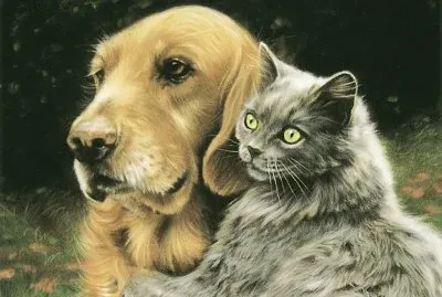 good friends