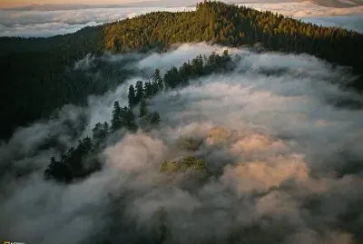 פאזל של smoky morning