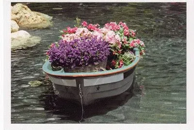 Flower Boat
