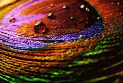 Colors jigsaw puzzle