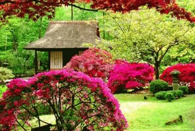 פאזל של â™¦