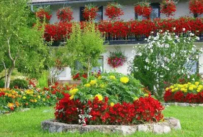 â™¦ jigsaw puzzle