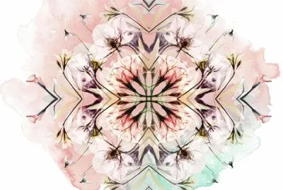 fashion fractal