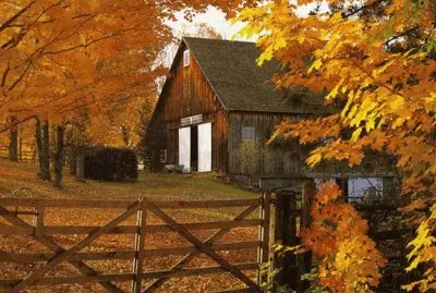autumn country barn