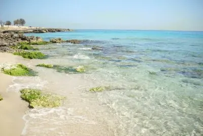 Lido Marini jigsaw puzzle