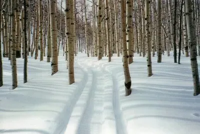 road in winter