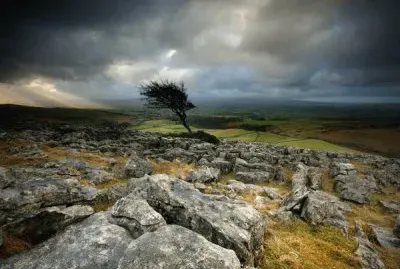 haunted moor jigsaw puzzle