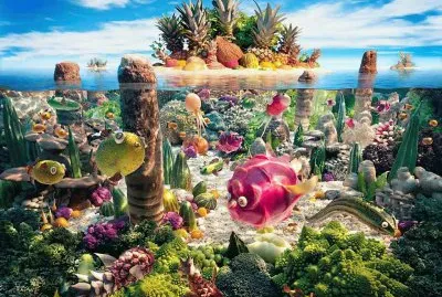 coralscape