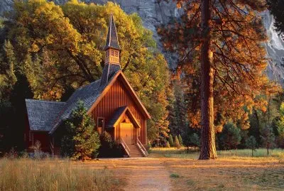 natural church