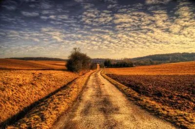 פאזל של almost home