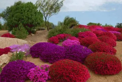 paisaje