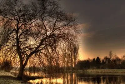 paisagem jigsaw puzzle
