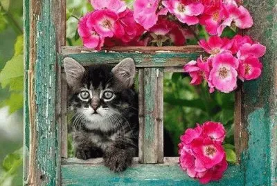 flores jigsaw puzzle