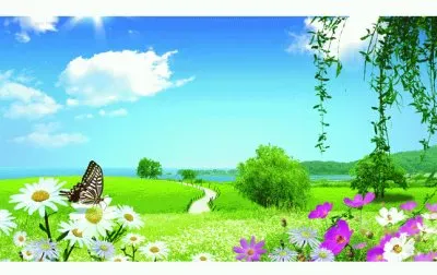 borboletas jigsaw puzzle