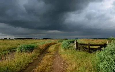 coming storm jigsaw puzzle