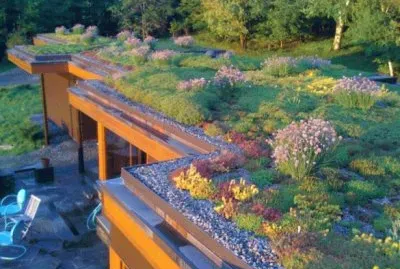 wildflower roof