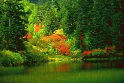 c jigsaw puzzle