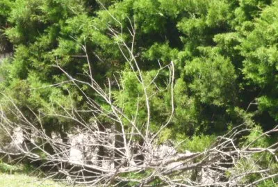 Paisaje jigsaw puzzle