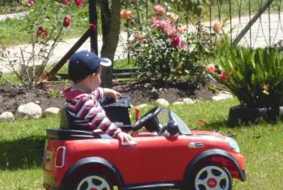 NiÃ±o y flores