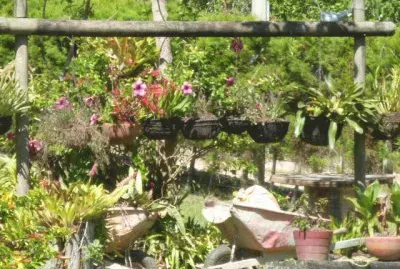 Jardin