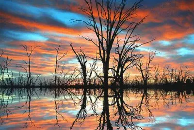 a trick of the light