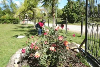 Jardin